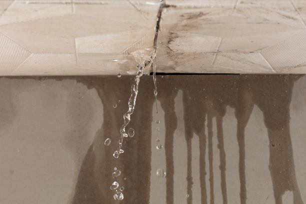 Professional Flood Damage Cleanup technician working in Vernon, WI